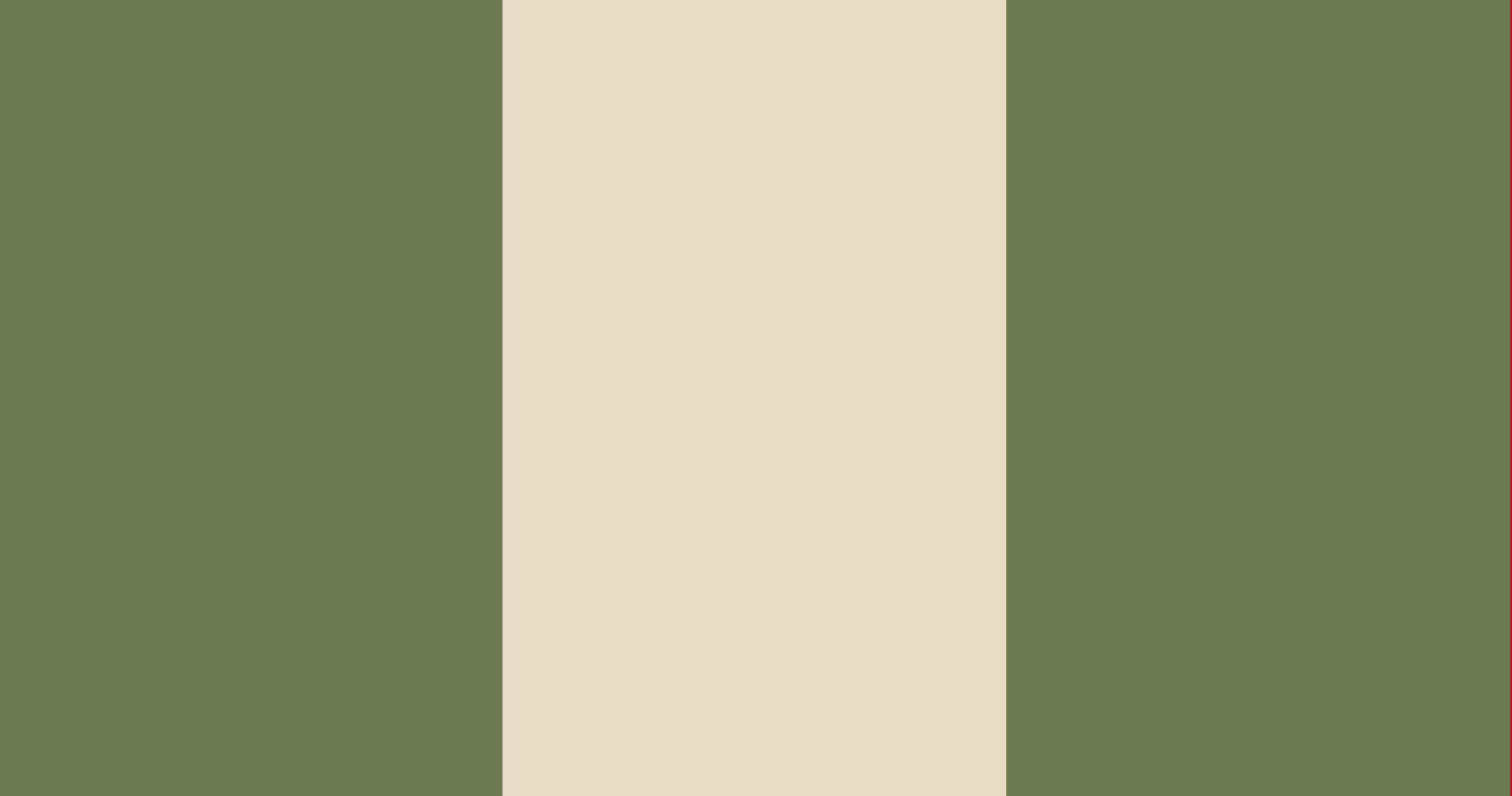 Flag of the Lhannish constructed language