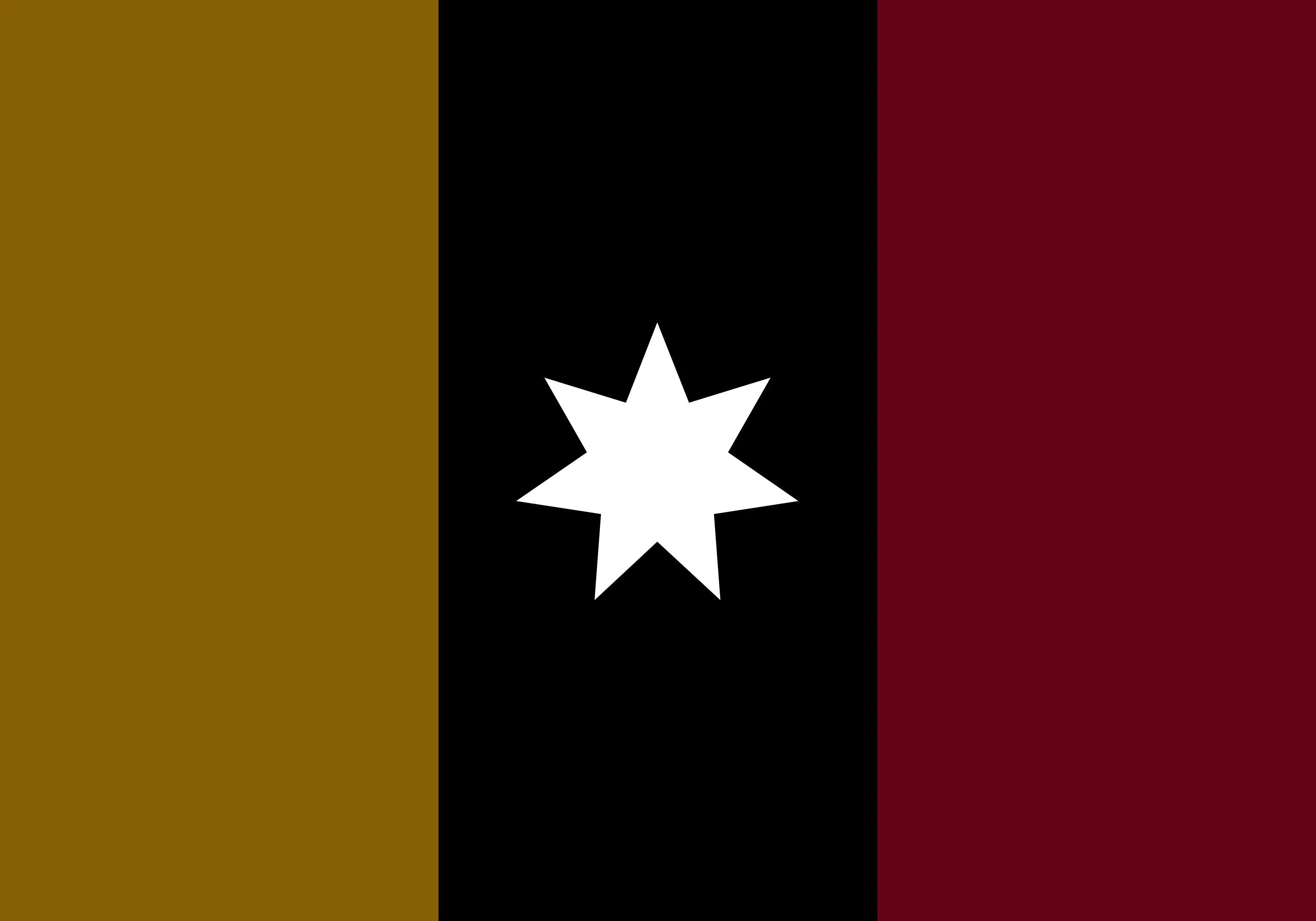 Flag of the Jadin constructed language
