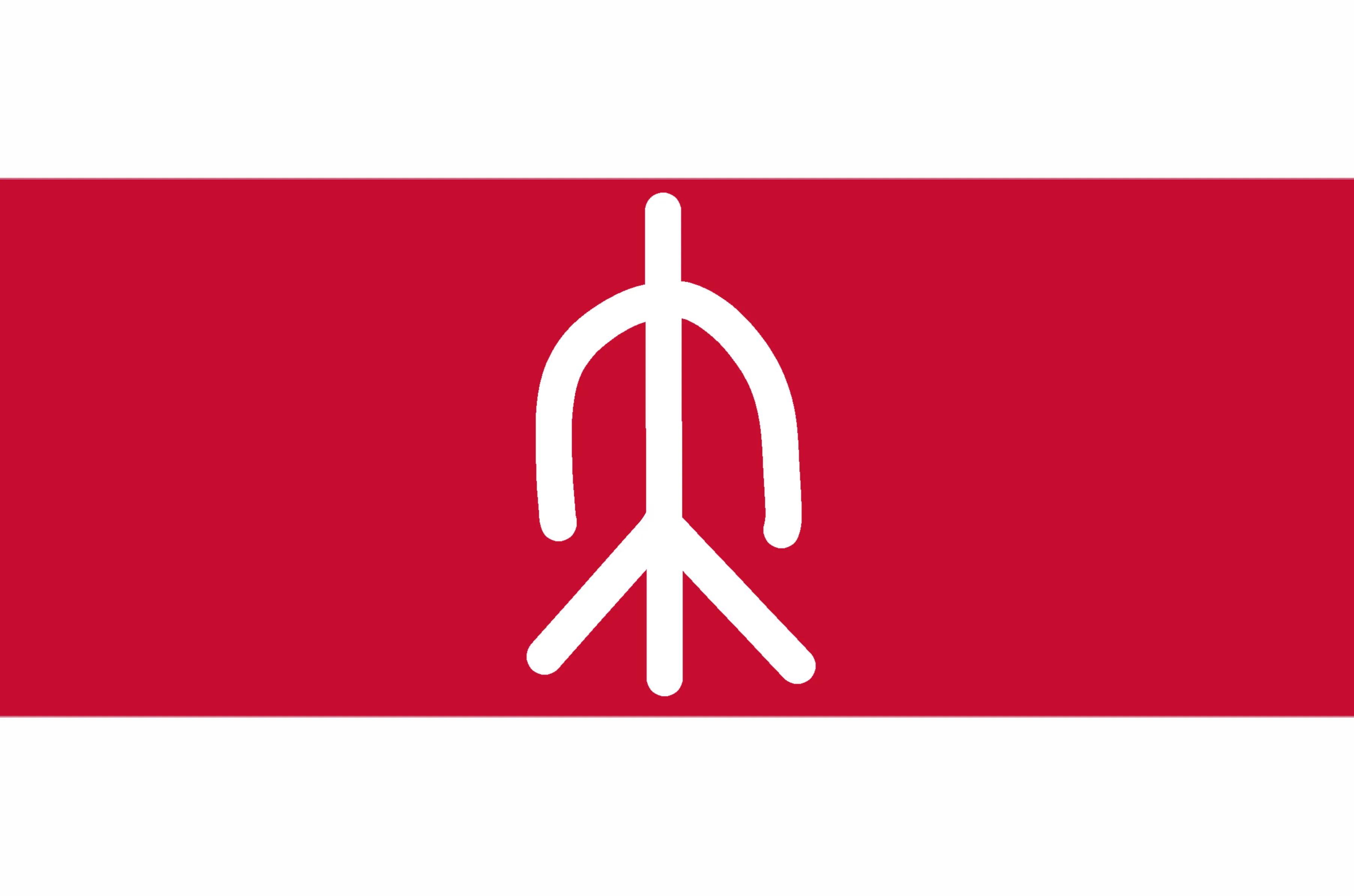 Flag of the Sonag constructed language