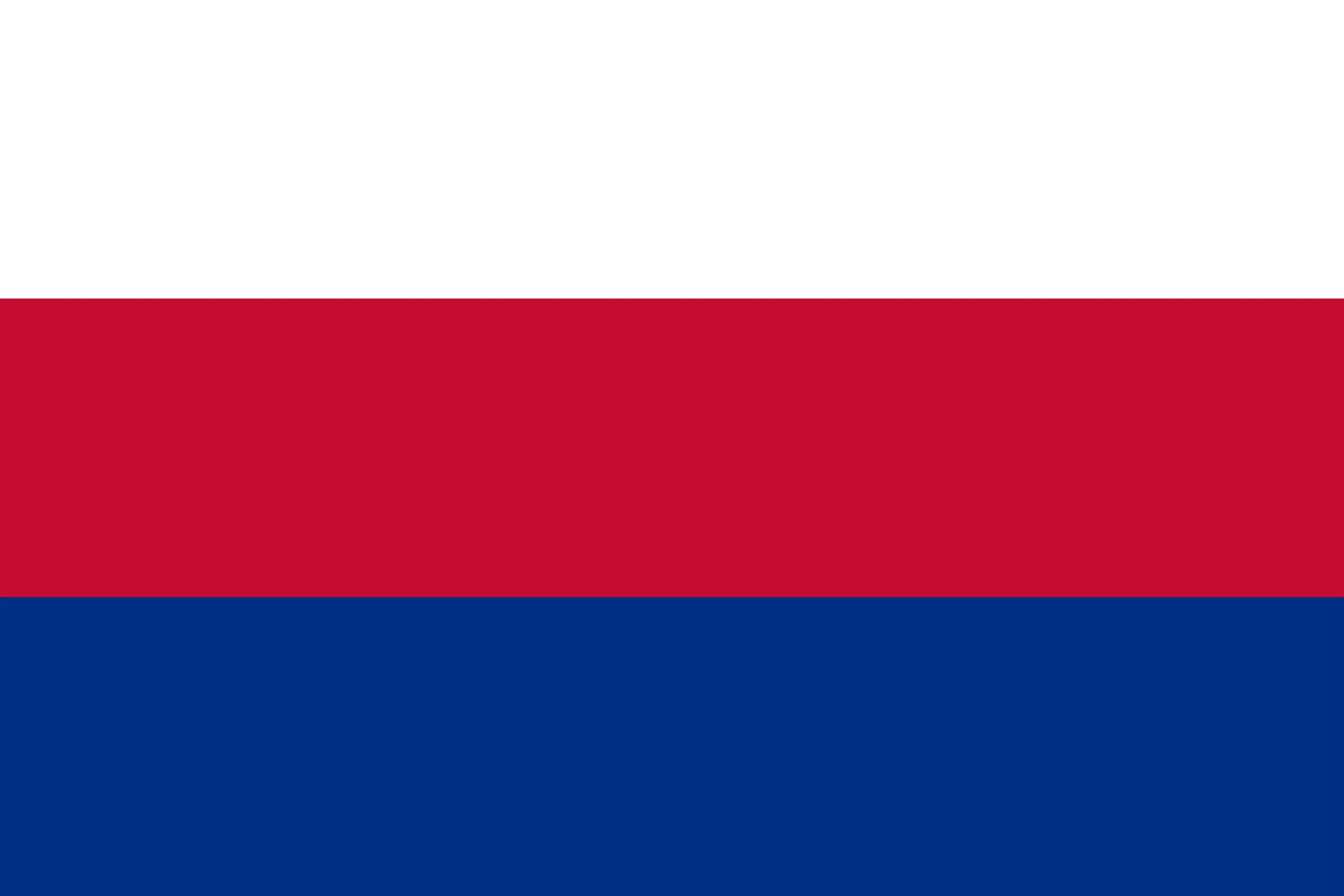 Flag of the Skovas constructed language