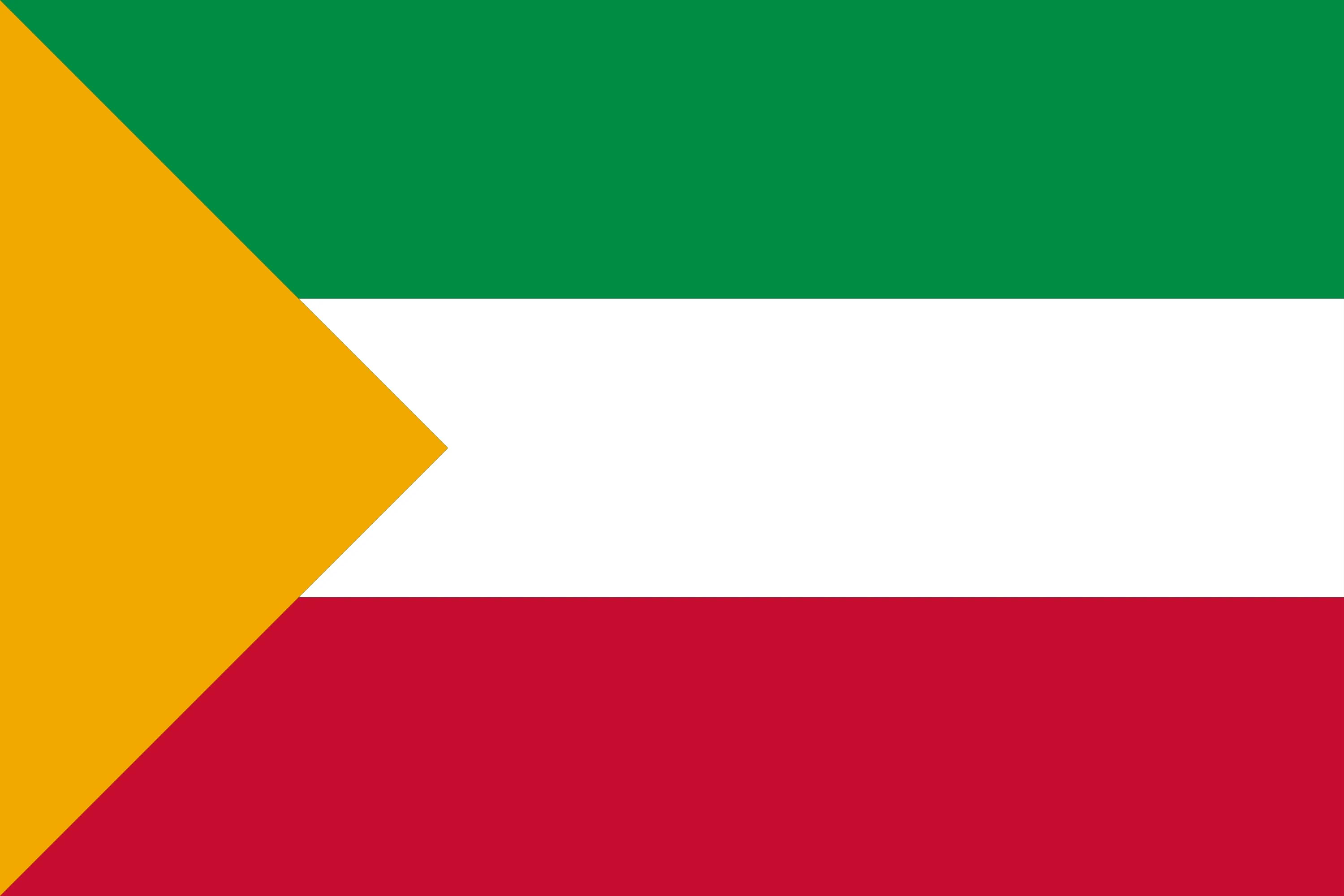Flag of the Valustran constructed language