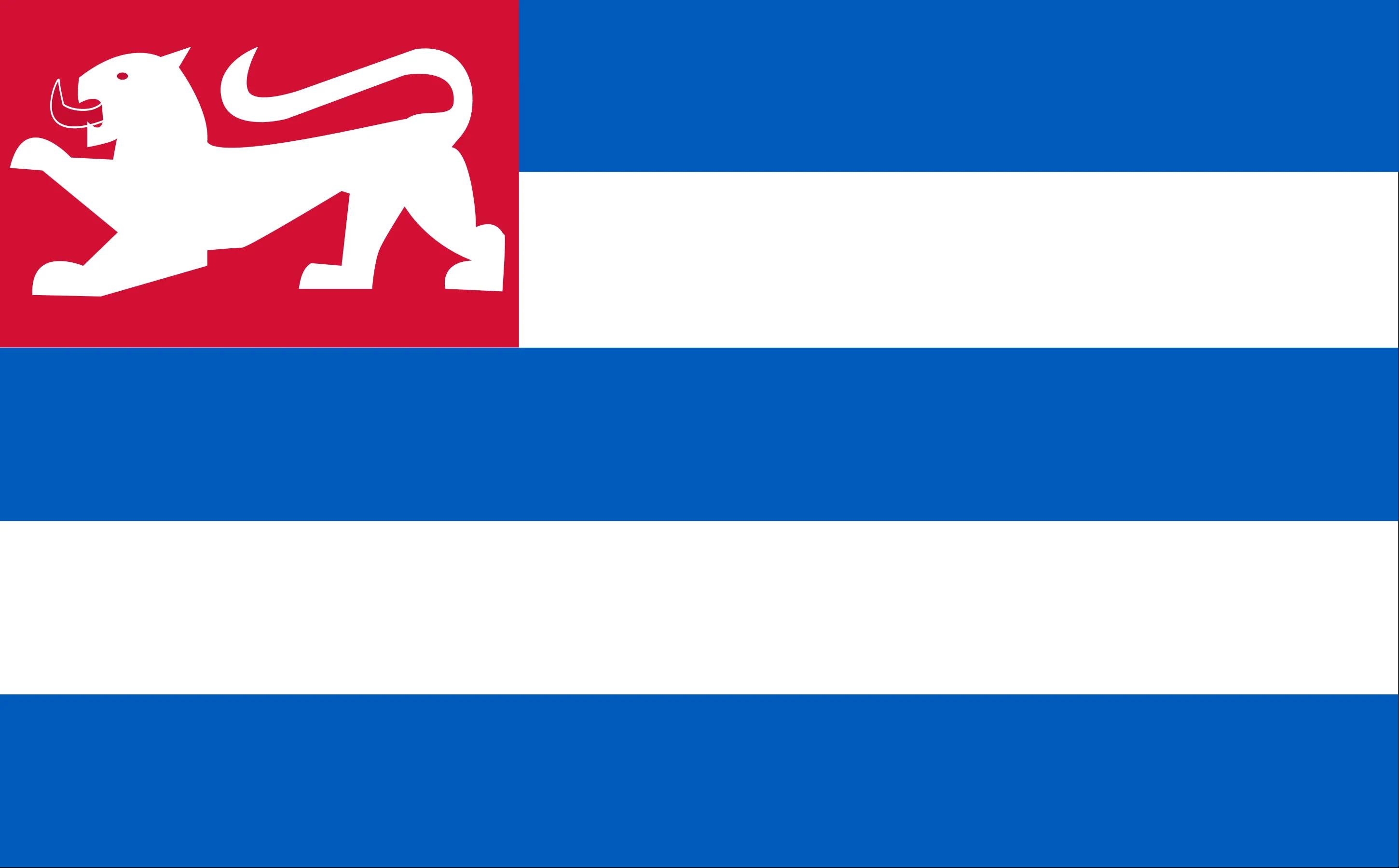 Flag of the Kunegan constructed language