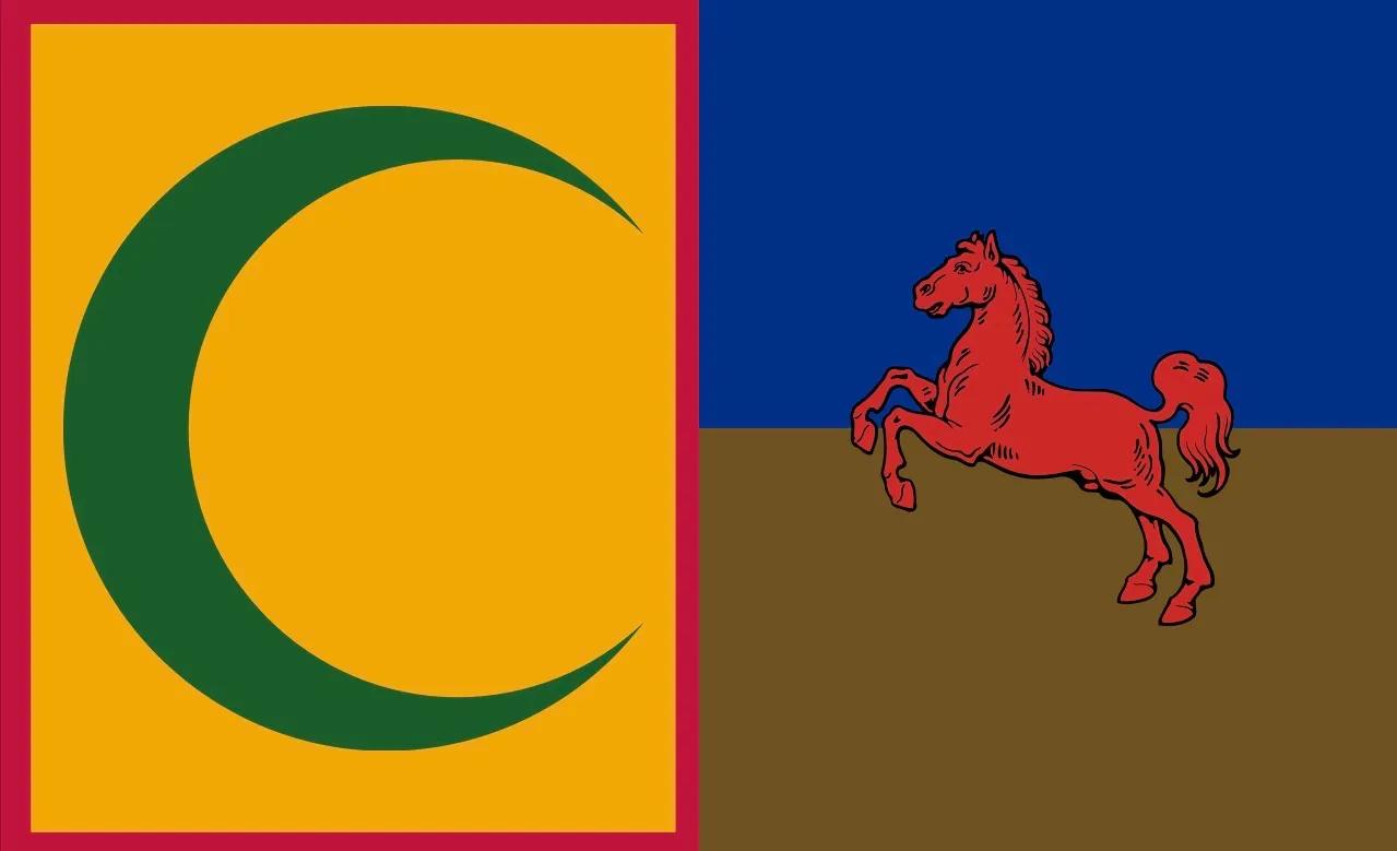 Flag of the fěʼ dʼàà mêxíʼ constructed language