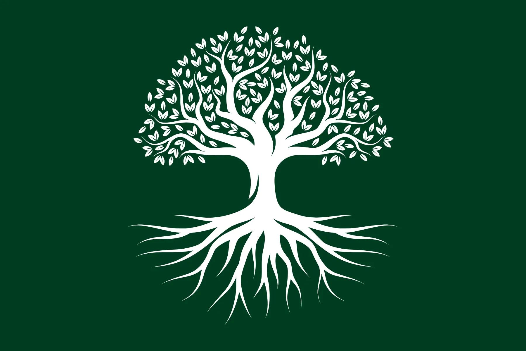 Flag of the Naucan constructed language
