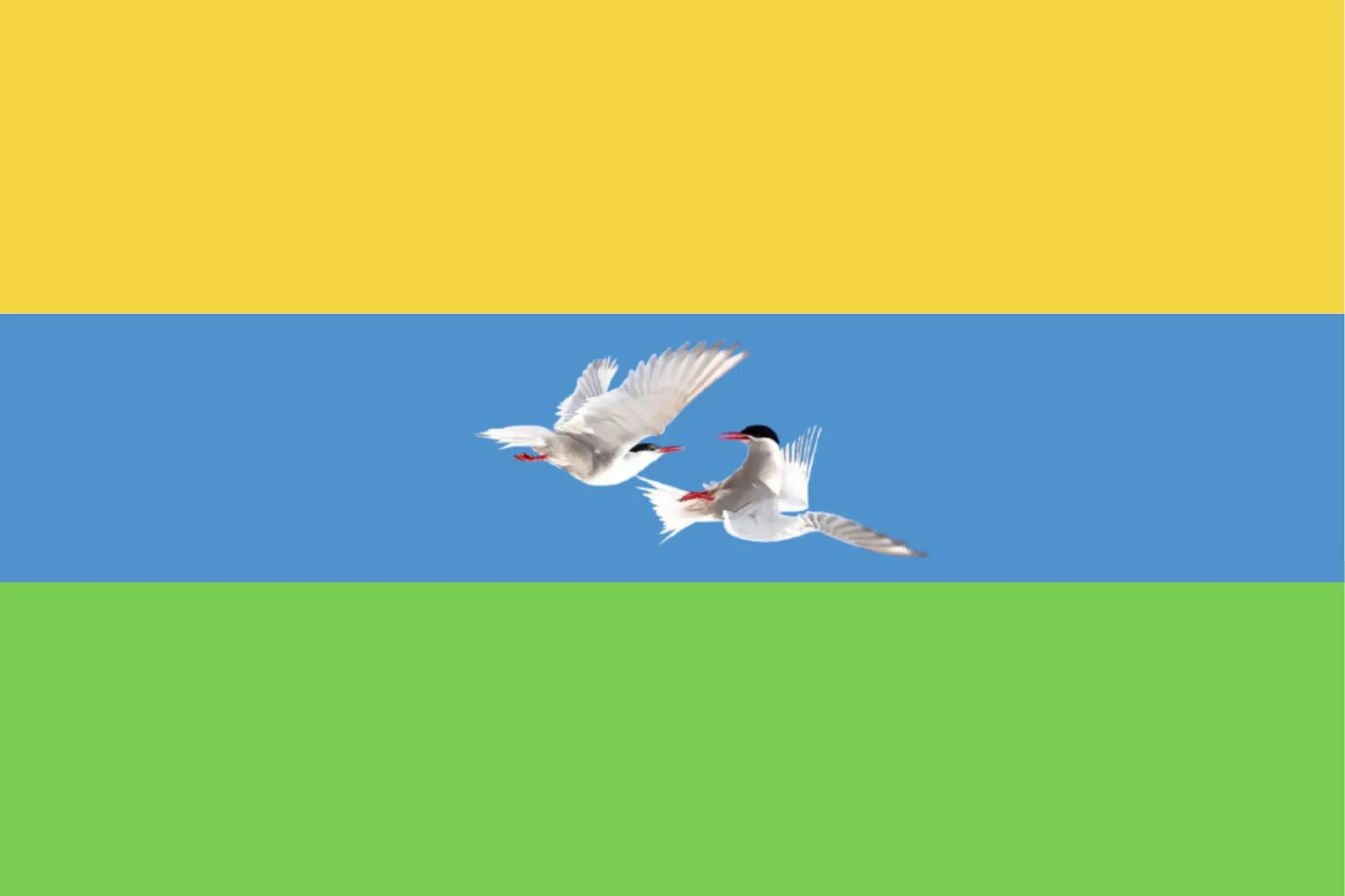 Flag of the Phošug constructed language