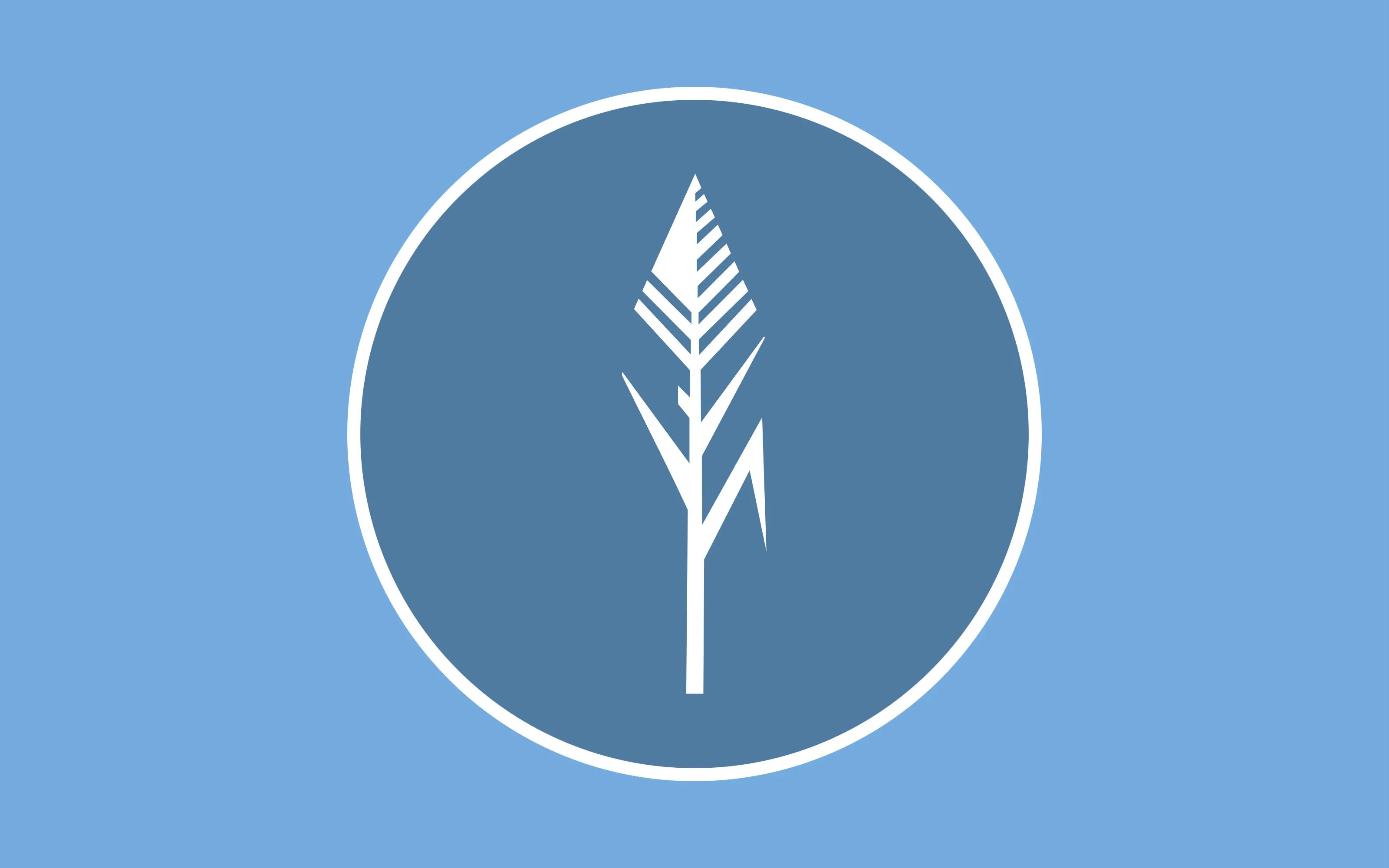 Flag of the Kwardese constructed language